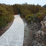 Path to the Kiotari Beach Rhodes